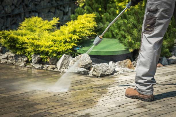 Boat and Dock Cleaning in South Congaree, SC